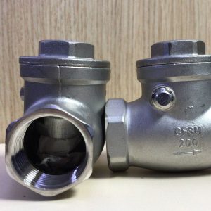 Stainless Full Bore Threaded Swing Check Valve