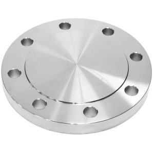 Blind Flange (Type 5 B)