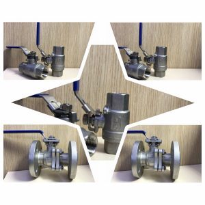 Stainless Steel Valves